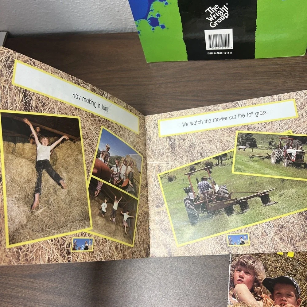 (Lot of 5) Level 1 HAY MAKING Emergent Beginning Readers ( 1st/2nd Grade) Noonan